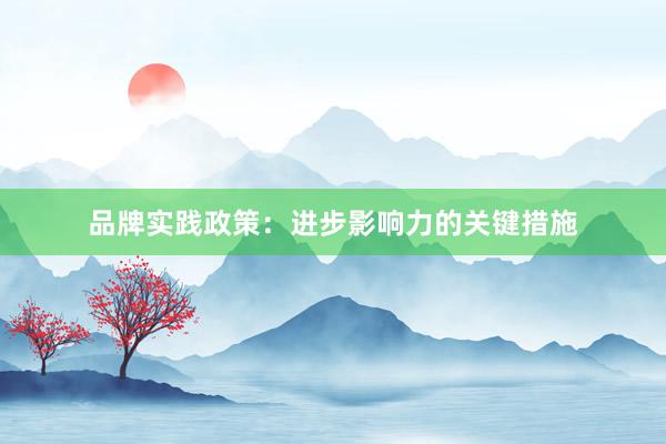品牌实践政策：进步影响力的关键措施
