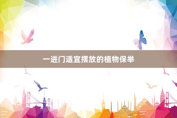 一进门适宜摆放的植物保举