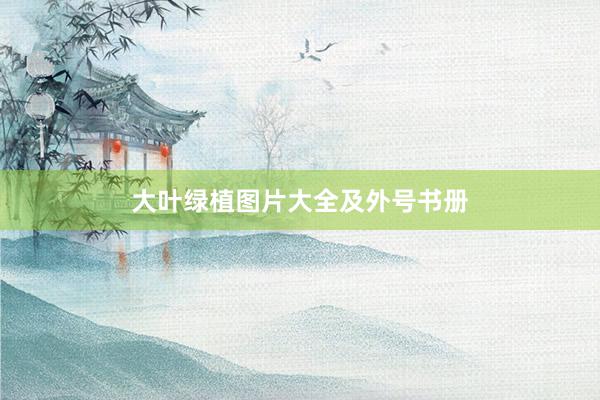 大叶绿植图片大全及外号书册